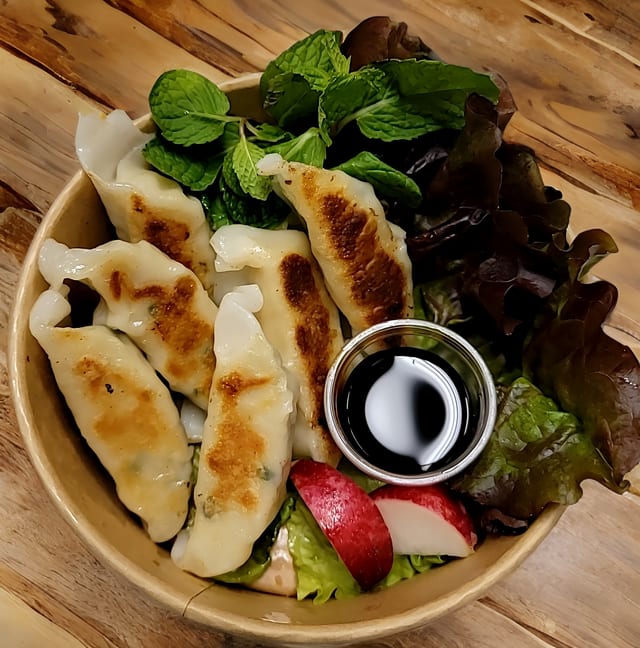 Pan Fried Chicken Gyoza.